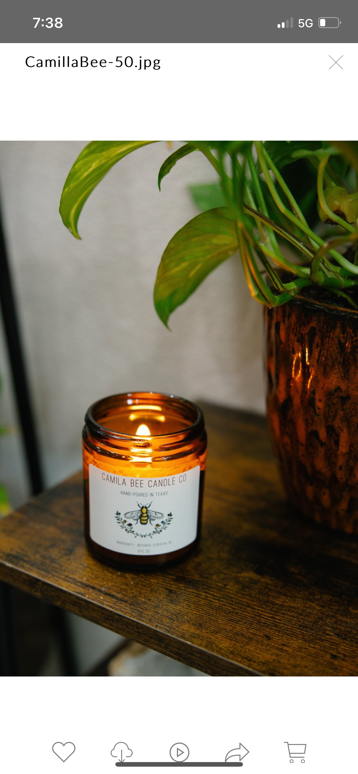 lavender + honey